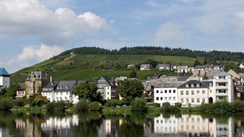 Media Image